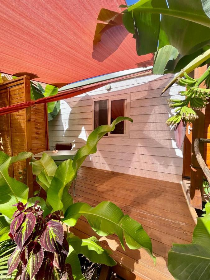 Auti Studio Direct Access To The Beach On Moorea With Ac -Wifi - Netflix Leilighet Haapiti Eksteriør bilde