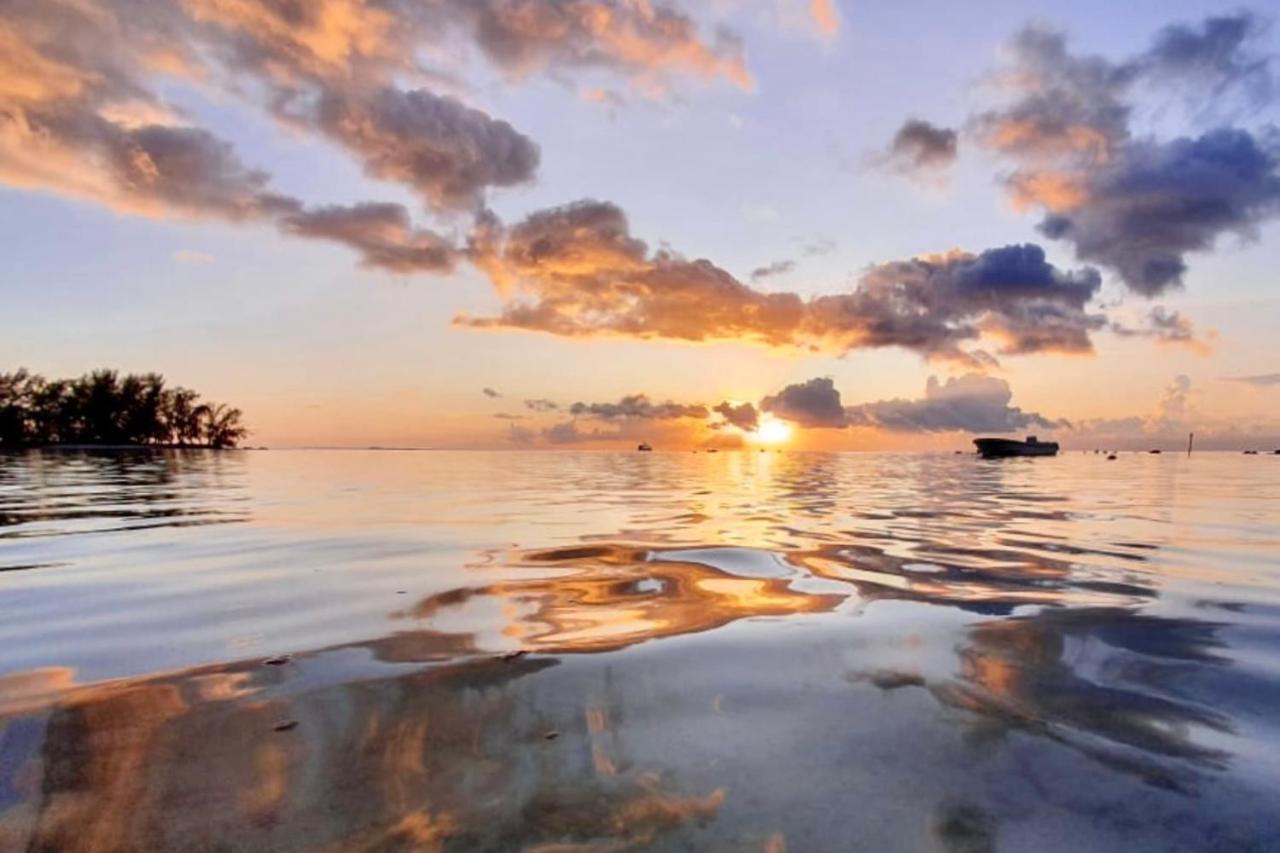 Auti Studio Direct Access To The Beach On Moorea With Ac -Wifi - Netflix Leilighet Haapiti Eksteriør bilde